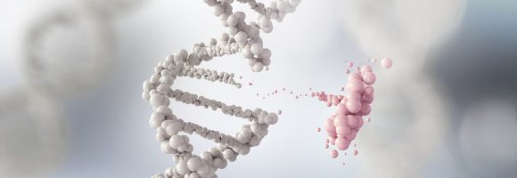 Evolved Beyond Our Genes